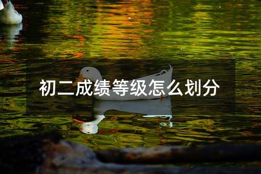 初二成绩等级怎么划分