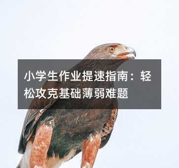 小学生作业提速指南:轻松攻克基础薄弱难题