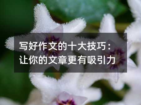 дºÃ×÷ÎĵÄÊ®´ó¼¼ÇÉ£ºÈÃÄãµÄÎÄÕ¸üÓÐÎüÒýÁ¦