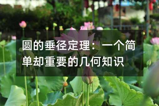 圆的垂径定理:一个简单却重要的几何知识