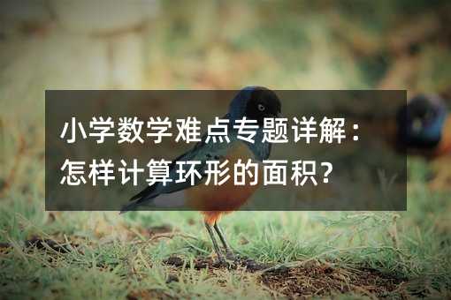 小学数学难点专题详解:怎样计算环形的面积?