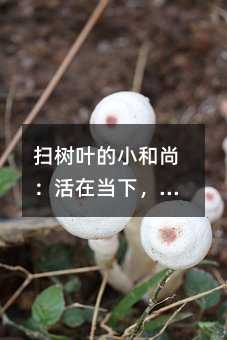 扫树叶的小和尚:活在当下,别让明天的烦恼毁了今天