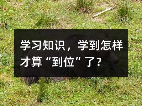 学习知识,学到怎样才算“到位”了?