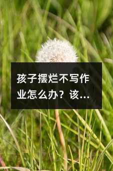 孩子摆烂不写作业怎么办?该如何教育