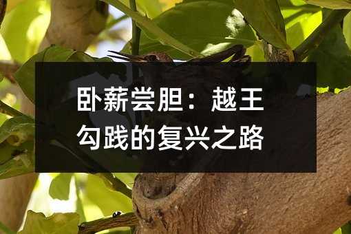 卧薪尝胆:越王勾践的复兴之路