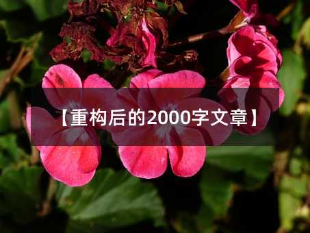 【重构后的2000字文章】