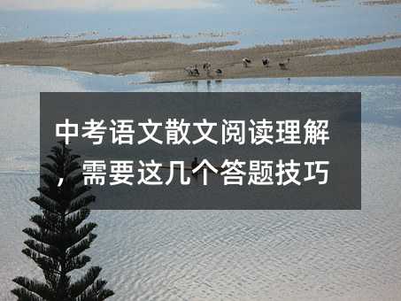 中考语文散文阅读理解,需要这几个答题技巧