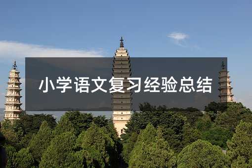 小学语文复习经验总结
