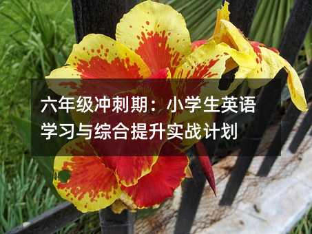 六年级冲刺期:小学生英语学习与综合提升实战计划