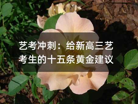 艺考冲刺:给新高三艺考生的十五条黄金建议