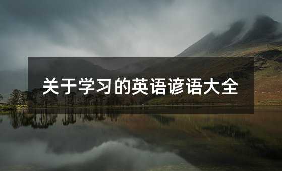 关于学习的英语谚语大全