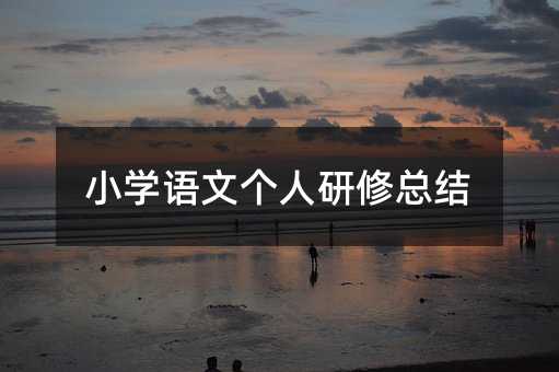 小学语文个人研修总结