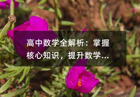 高中数学全解析:掌握核心知识,提升数学素养