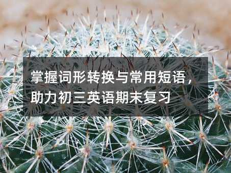 ���մ���ת���볣�ö����������Ӣ����ĩ��ϰ