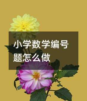 小学数学编号题怎么做
