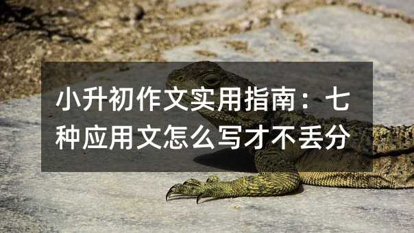 С��������ʵ��ָ�ϣ�����Ӧ������ôд�Ų�����