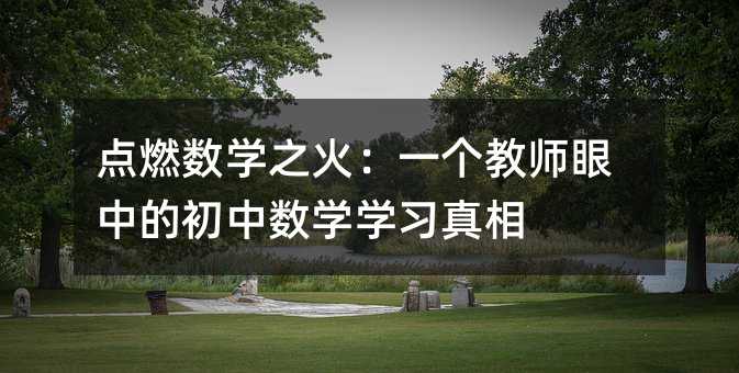 点燃数学之火:一个教师眼中的初中数学学习真相