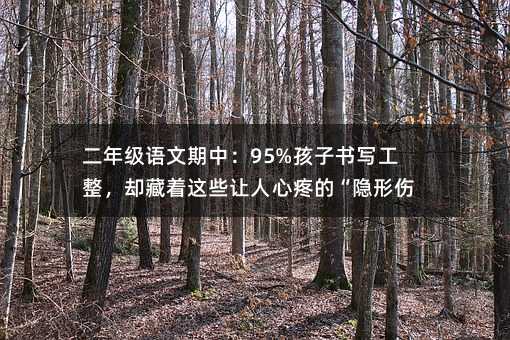 꼶У95%дȴЩ۵ġˡ