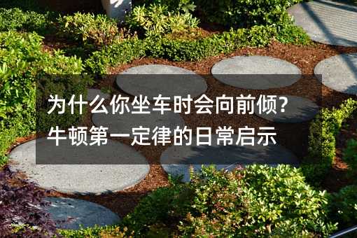 Ϊʲôʱǰ㣿ţٵһɵճʾ