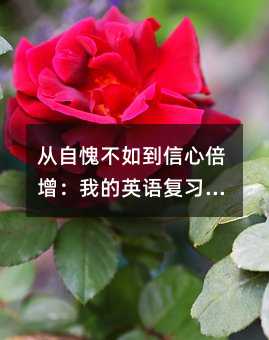 絽ıҵӢ︴ϰɱ֮·