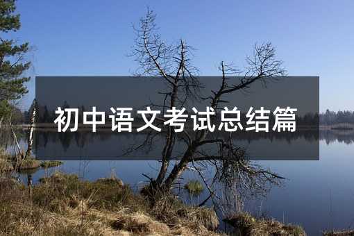 初中语文考试总结篇