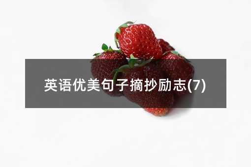 英语优美句子摘抄励志(7)