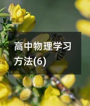高中物理学习方法(6)