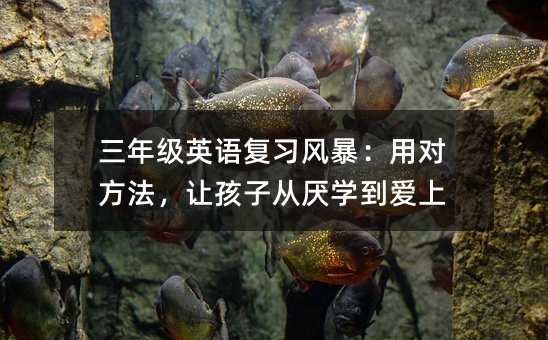 ���꼶Ӣ�︴ϰ�籩���öԷ������ú��Ӵ���ѧ������