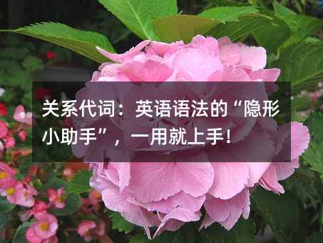 ��ϵ���ʣ�Ӣ���﷨�ġ�����С���֡���һ�þ����֣�