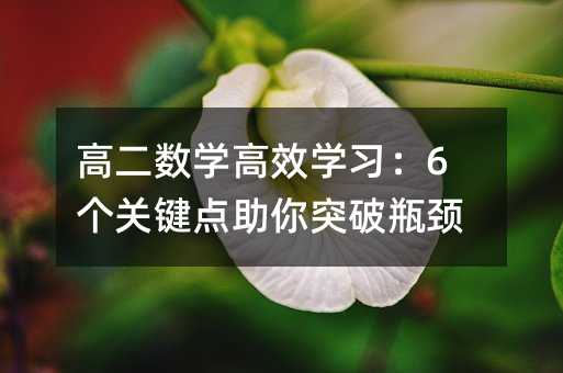 高二数学高效学习:6个关键点助你突破瓶颈