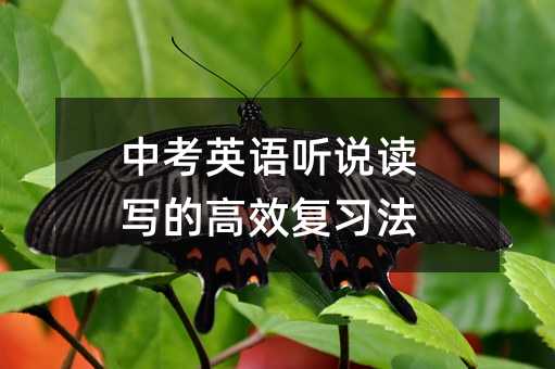 �п�Ӣ����˵��д�ĸ�Ч��ϰ��