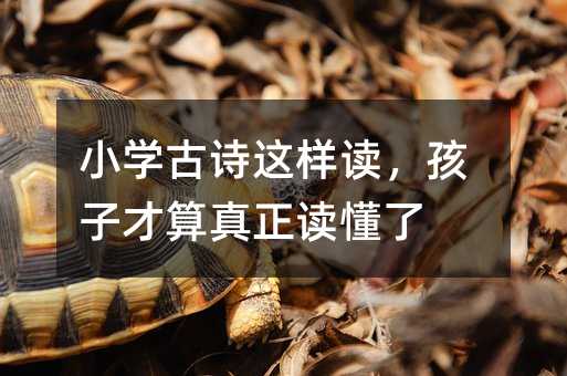 Сѧ��ʫ�����������Ӳ�������������