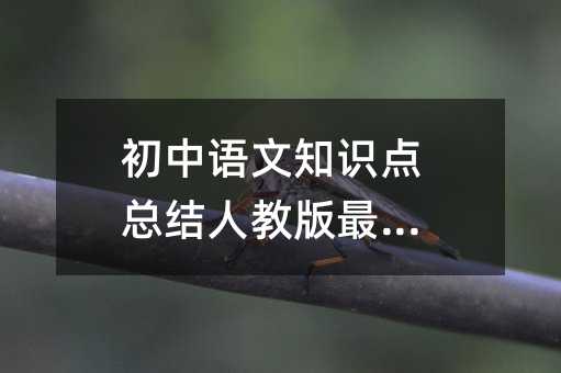 初中语文知识点总结人教版最新篇