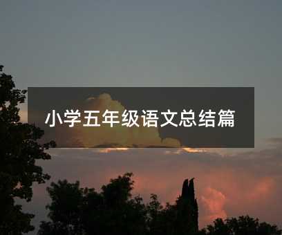 小学五年级语文总结篇