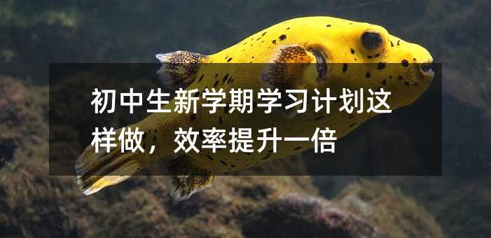 初中生新学期学习计划这样做,效率提升一倍