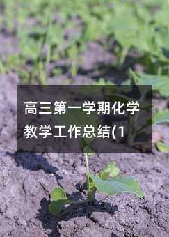 高三第一学期化学教学工作总结(17)