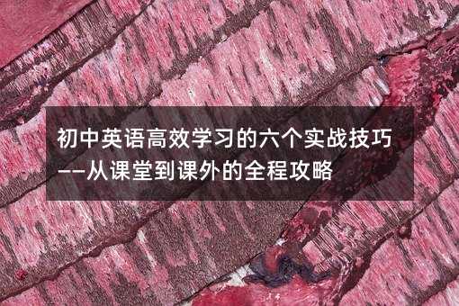 初中英语高效学习的六个实战技巧——从课堂到课外的全程攻略