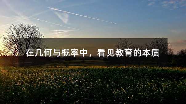 在几何与概率中,看见教育的本质