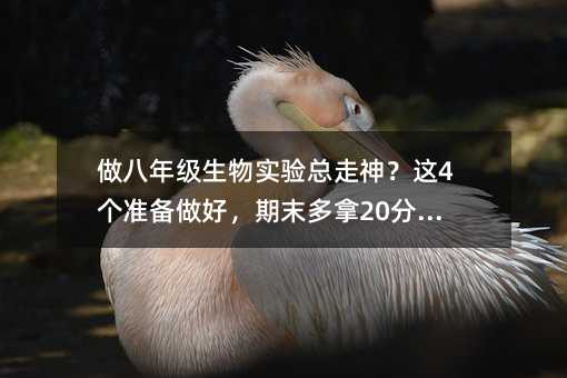 做八年级生物实验总走神?这4个准备做好,期末多拿20分很轻松