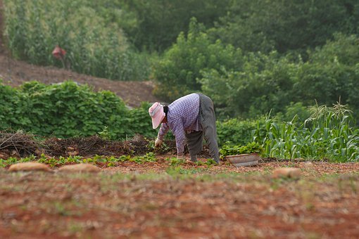 电子产品成为儿童视力“杀手”