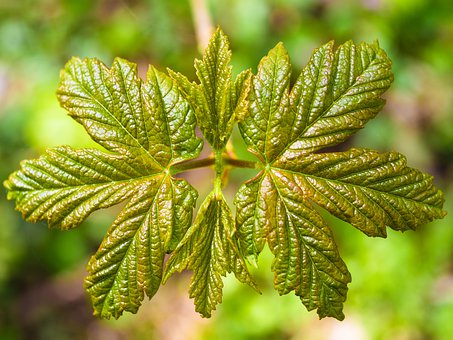 ѧϰ���������Ѷ�ĸ�������