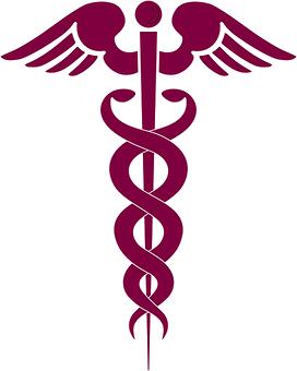 ��ʦ������������Ů��ѧϰӢ��ľ���