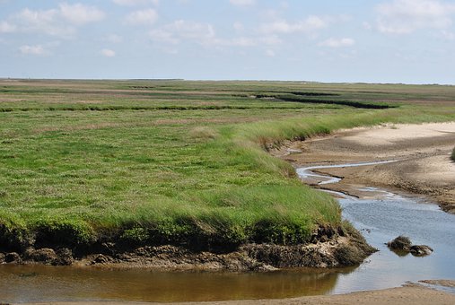 高中生物必背知识点