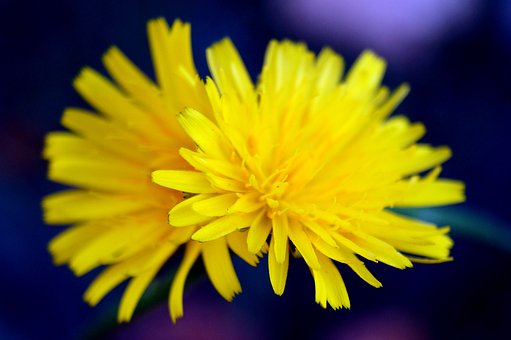 二年级语文的“分水岭”怎么过?抓住这三点,让孩子从“读完”到“读透”