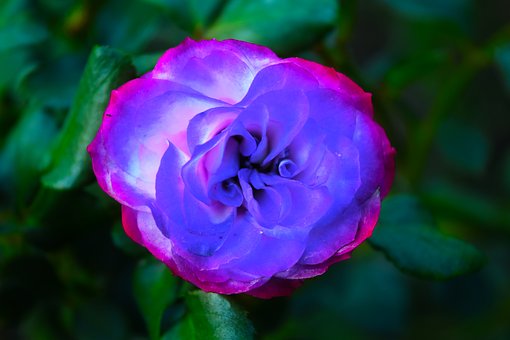 家长课堂:成为好家长的十大好习惯