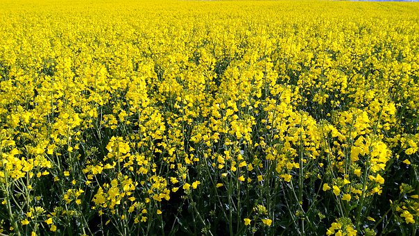 ������ܣ��ǳ��춨�й���ǧ�����λ���Ķ������