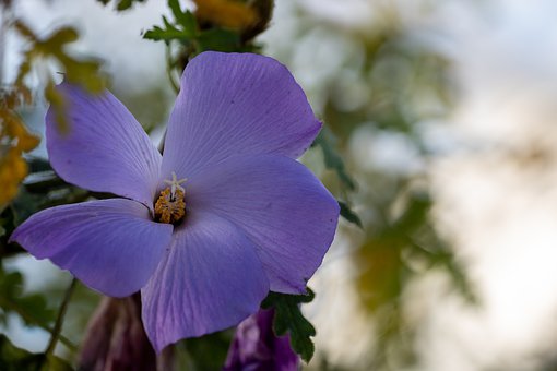 ����һ��ҳ�Ӧ��������