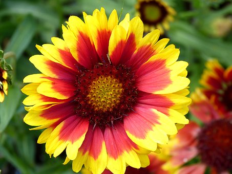 高一语文过秦论翻译及知识点