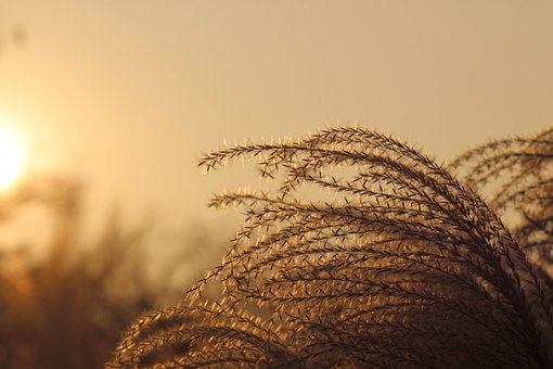 八年级英语:别让“分水岭”变成“生死线”,深度解析教学痛点的破局之道