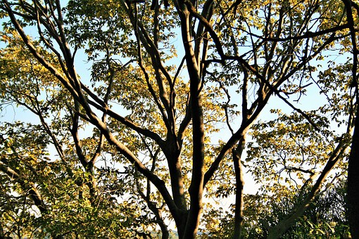 ���꼶�²������������Ȼ���������ܣ�һƪ����ȫ�㶨��